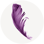 Plume violette de la plume de vos envies