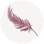 Plume violette de la plume de vos envies